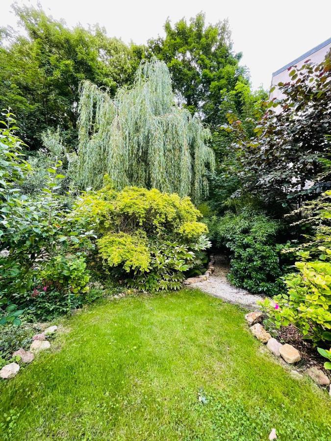 Maison D'Hotes Et Bien-Etre Ahimsa Verrières-le-Buisson Esterno foto
